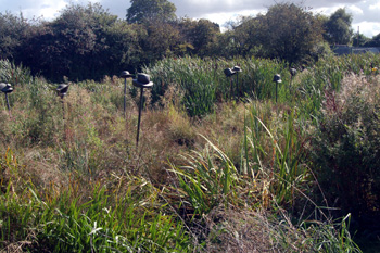 Leagrave Marsh with hats on poles sculptures September 2009